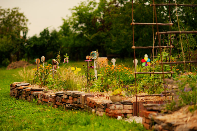 Permakultúrna záhrada 2014