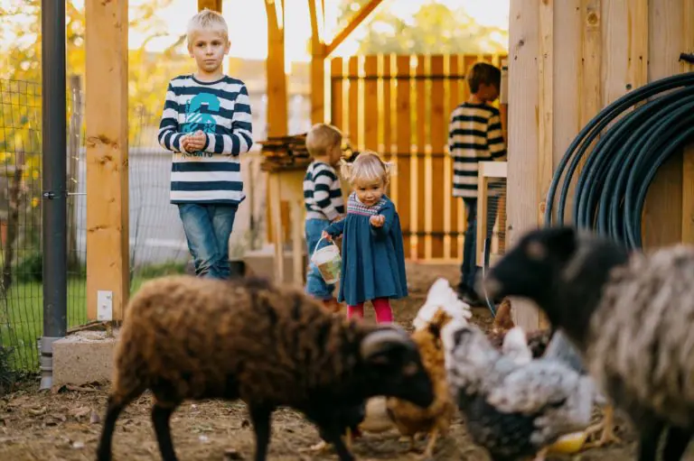 Permakultúrna záhrada pre lenivého záhradkára