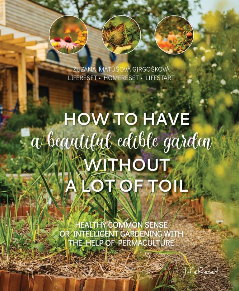 How to have a beautiful edible garden without a lot of toil