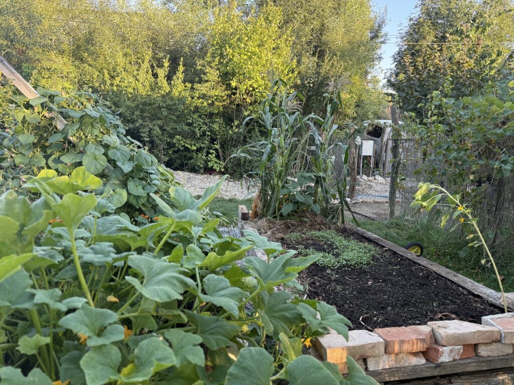 Webin&aacute;r Zelen&eacute; hnojenie